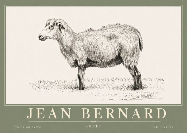 Jean Bernard Sheep No6 - Plakát