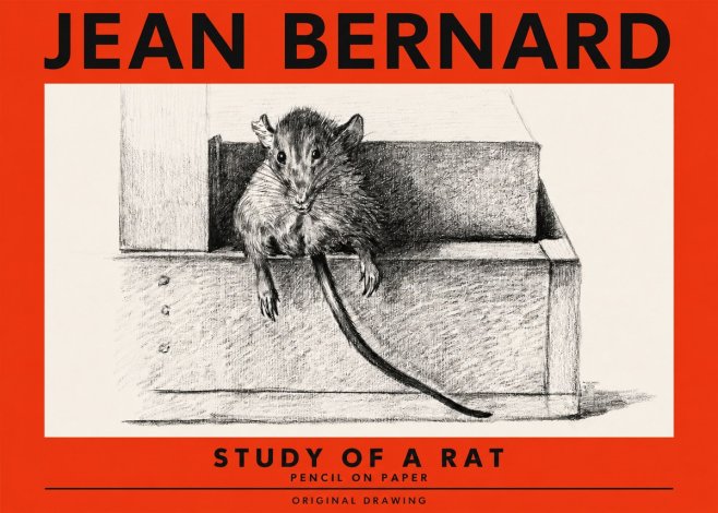 Jean Bernard Study of a Rat I No2 - Plakát