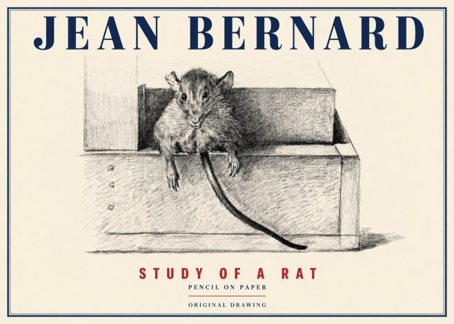 Jean Bernard Study of a Rat I No4 - Plakát