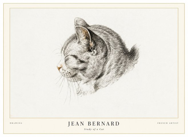 Jean Bernard Study of a Cat I No1 - Plakát