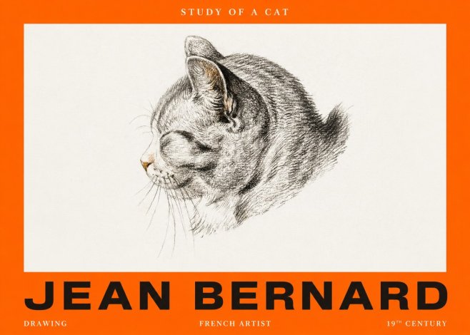 Jean Bernard Study of a Cat I No2 - Plakát