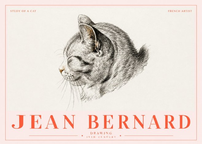 Jean Bernard Study of a Cat I No5 - Plakát