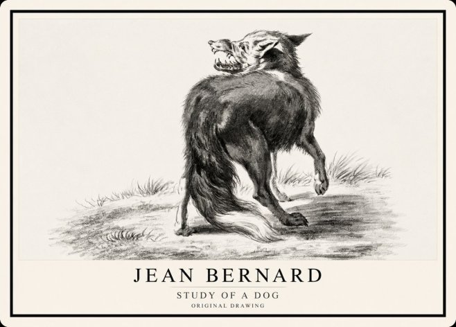 Jean Bernard Study of a Dog II No1 - Plakát