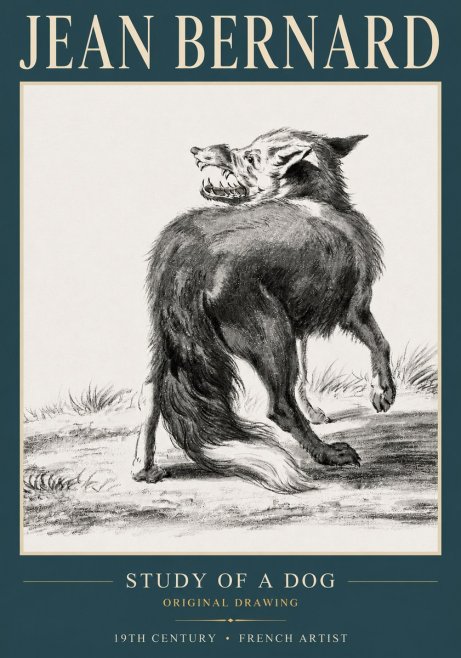 Jean Bernard Study of a Dog II No3 - Plakát