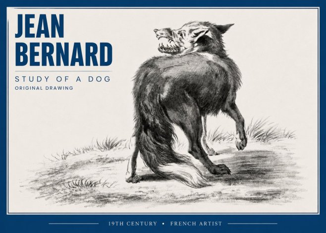 Jean Bernard Study of a Dog II No4 - Plakát