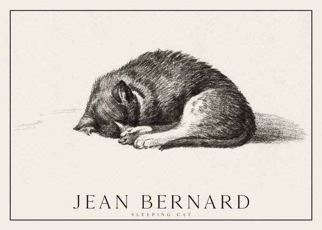 Jean Bernard Sleeping Cat III No1 - Plakát
