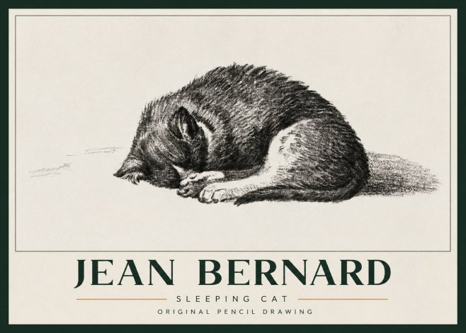 Jean Bernard Sleeping Cat III No3 - Plakát