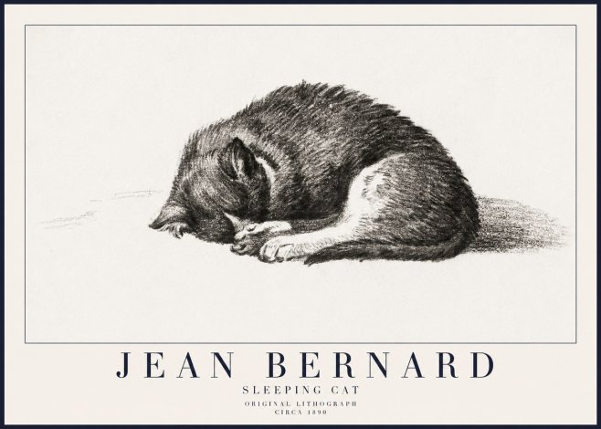 Jean Bernard Sleeping Cat III No6 - Plakát