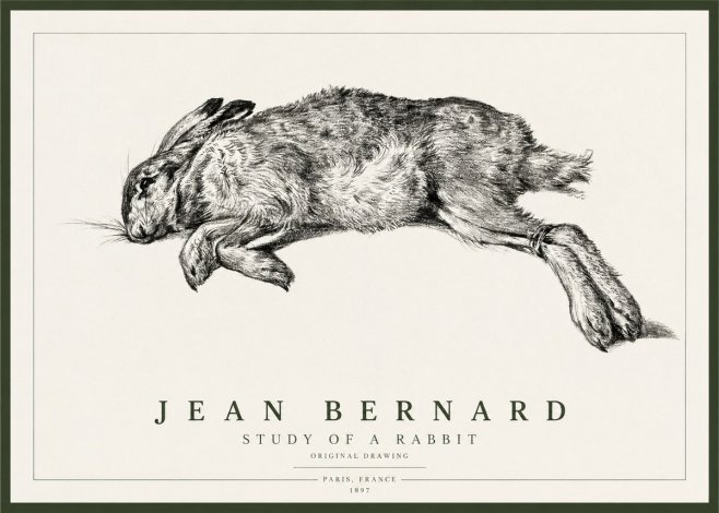Jean Bernard Study of a Rabbit No1 - Plakát