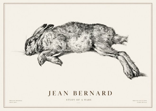 Jean Bernard Study of a Rabbit No3 - Plakát