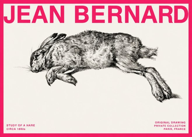 Jean Bernard Study of a Rabbit No4 - Plakát