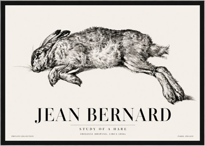 Jean Bernard Study of a Rabbit No5 - Plakát