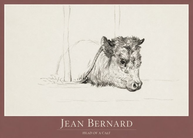 Jean Bernard Study of a Calf I No2 - Plakát