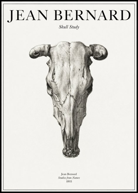 Jean Bernard Skull Study No1 - Plakát