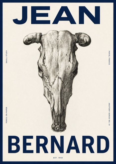 Jean Bernard Skull Study No4 - Plakát