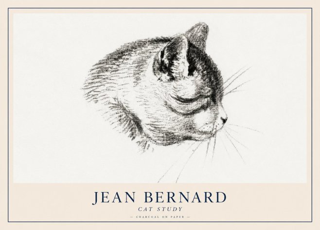 Jean Bernard Cat Study IV No2 - Plakát