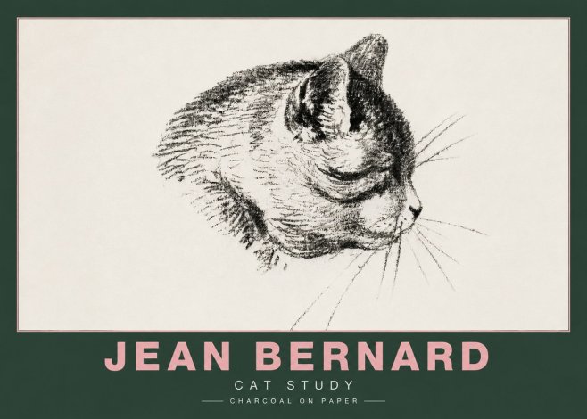 Jean Bernard Cat Study IV No4 - Plakát