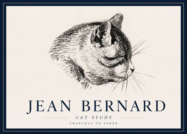 Jean Bernard Cat Study IV No6 - Plakát