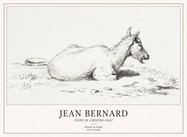 Jean Bernard Study of a Resting Goat No2 - Plakát