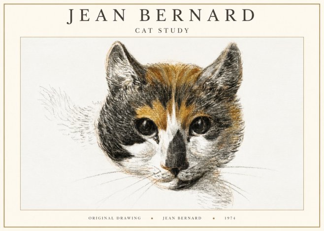 Jean Bernard Study of a Cat II No3 - Plakát