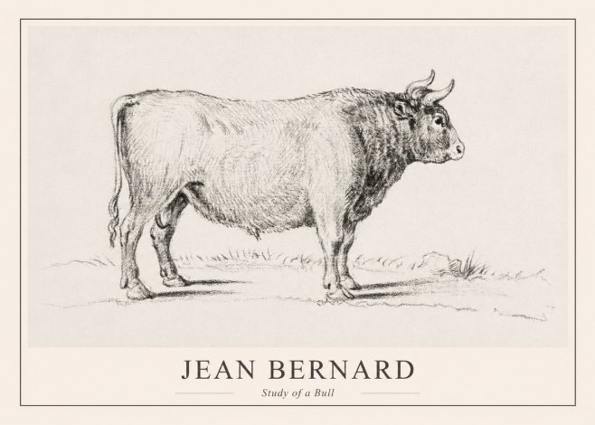Jean Bernard Study of a Bull I No1 - Plakát