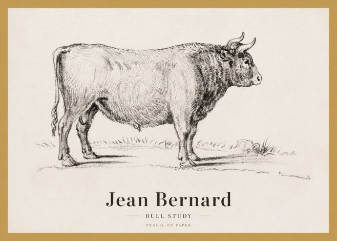 Jean Bernard Study of a Bull I No4 - Plakát