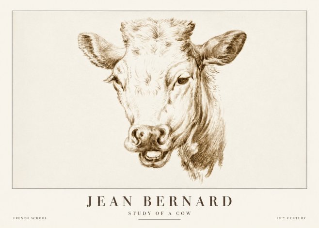 Jean Bernard Study of a Cow IV No2 - Plakát