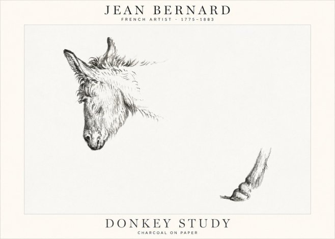 Jean Bernard Study of a Donkey II No2 - Plakát