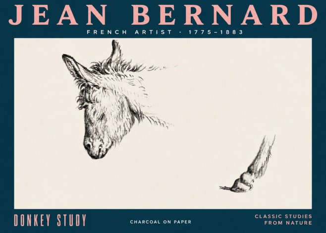 Jean Bernard Study of a Donkey II No5 - Plakát