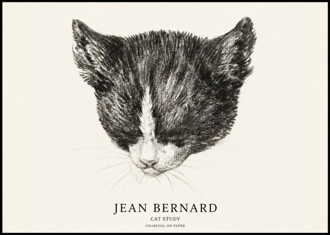 Jean Bernard Cat Study V No1 - Plakát