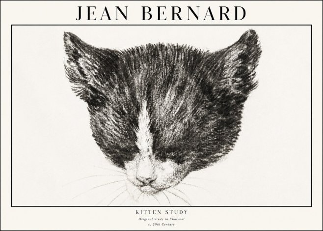 Jean Bernard Cat Study V No4 - Plakát