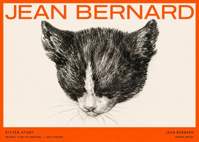 Jean Bernard Cat Study V No5 - Plakát