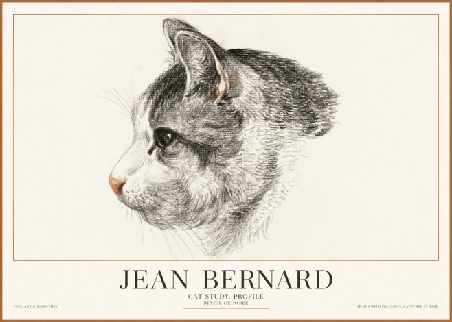 Jean Bernard Cat Study, Profile No1 - Plakát