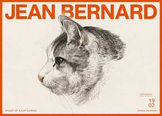 Jean Bernard Cat Study, Profile No3 - Plakát