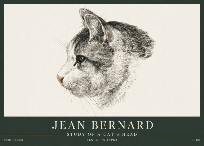 Jean Bernard Cat Study, Profile No4 - Plakát