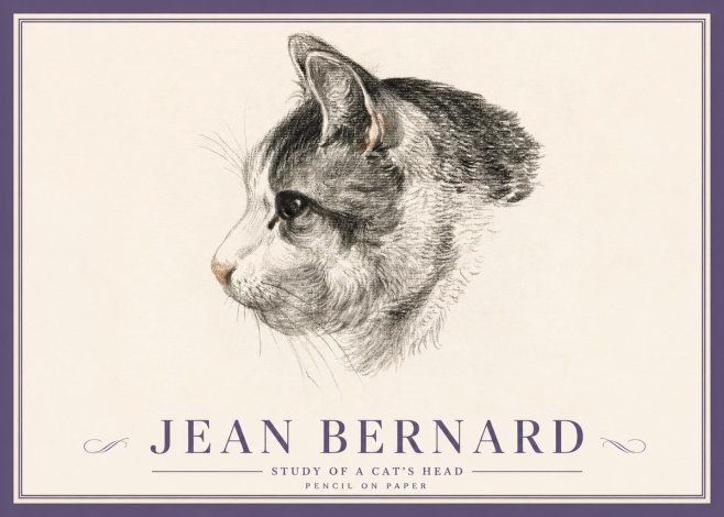 Jean Bernard Cat Study, Profile No5 - Plakát