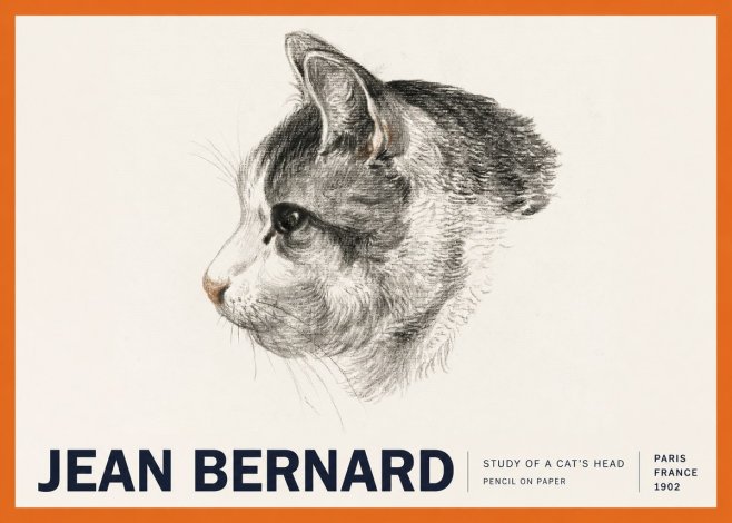 Jean Bernard Cat Study, Profile No6 - Plakát