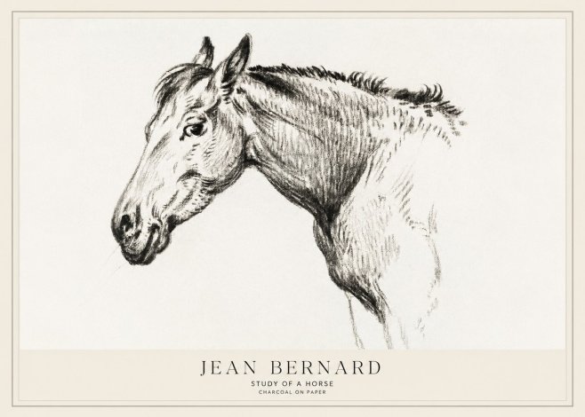 Jean Bernard Study of a Horse VI No1 - Plakát