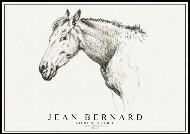 Jean Bernard Study of a Horse VI No3 - Plakát