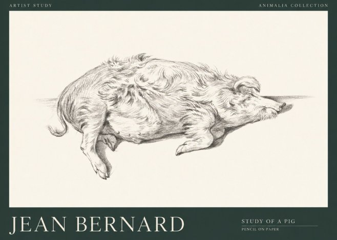 Jean Bernard Study of a Pig I No1 - Plakát
