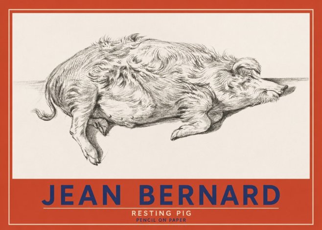 Jean Bernard Study of a Pig I No4 - Plakát
