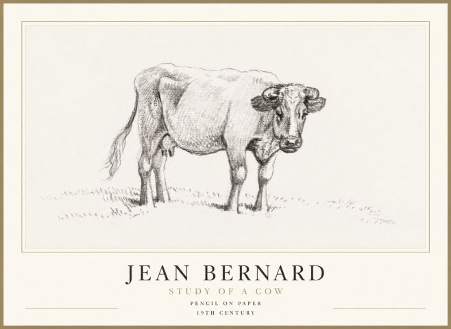 Jean Bernard Study of a Cow V No1 - Plakát