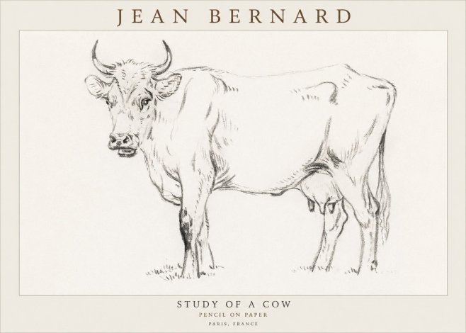 Jean Bernard Study of a Cow VI No3 - Plakát