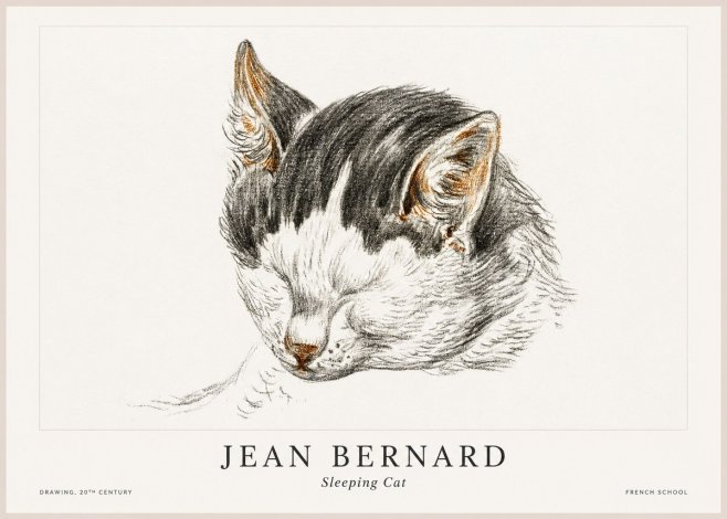 Jean Bernard Sleeping Cat V No1 - Plakát