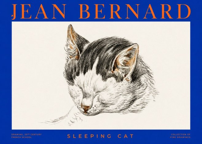 Jean Bernard Sleeping Cat V No2 - Plakát