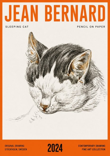Jean Bernard Sleeping Cat V No4 - Plakát