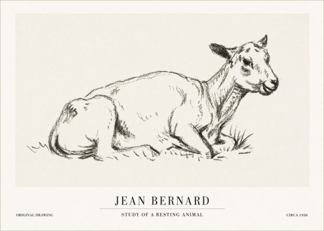Jean Bernard Study of a Resting Animal No1 - Plakát