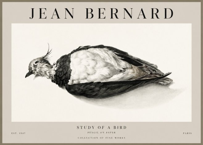 Jean Bernard Study of a Bird II No1 - Plakát