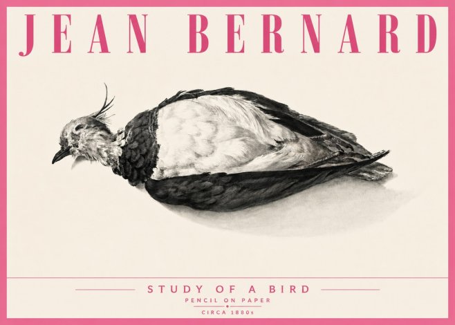 Jean Bernard Study of a Bird II No6 - Plakát
