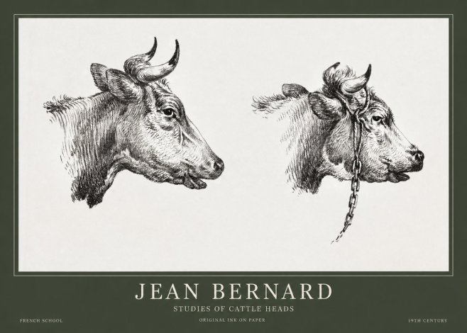 Jean Bernard Studies of Cattle Heads No1 - Plakát